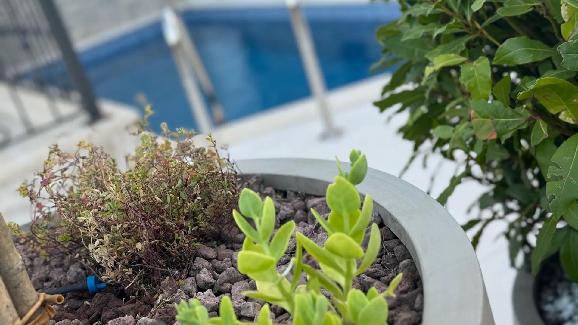 Aura Adriatica Onyx - Luxury Apartment, Private Pool, Sea View, Parking Lovran 0*,